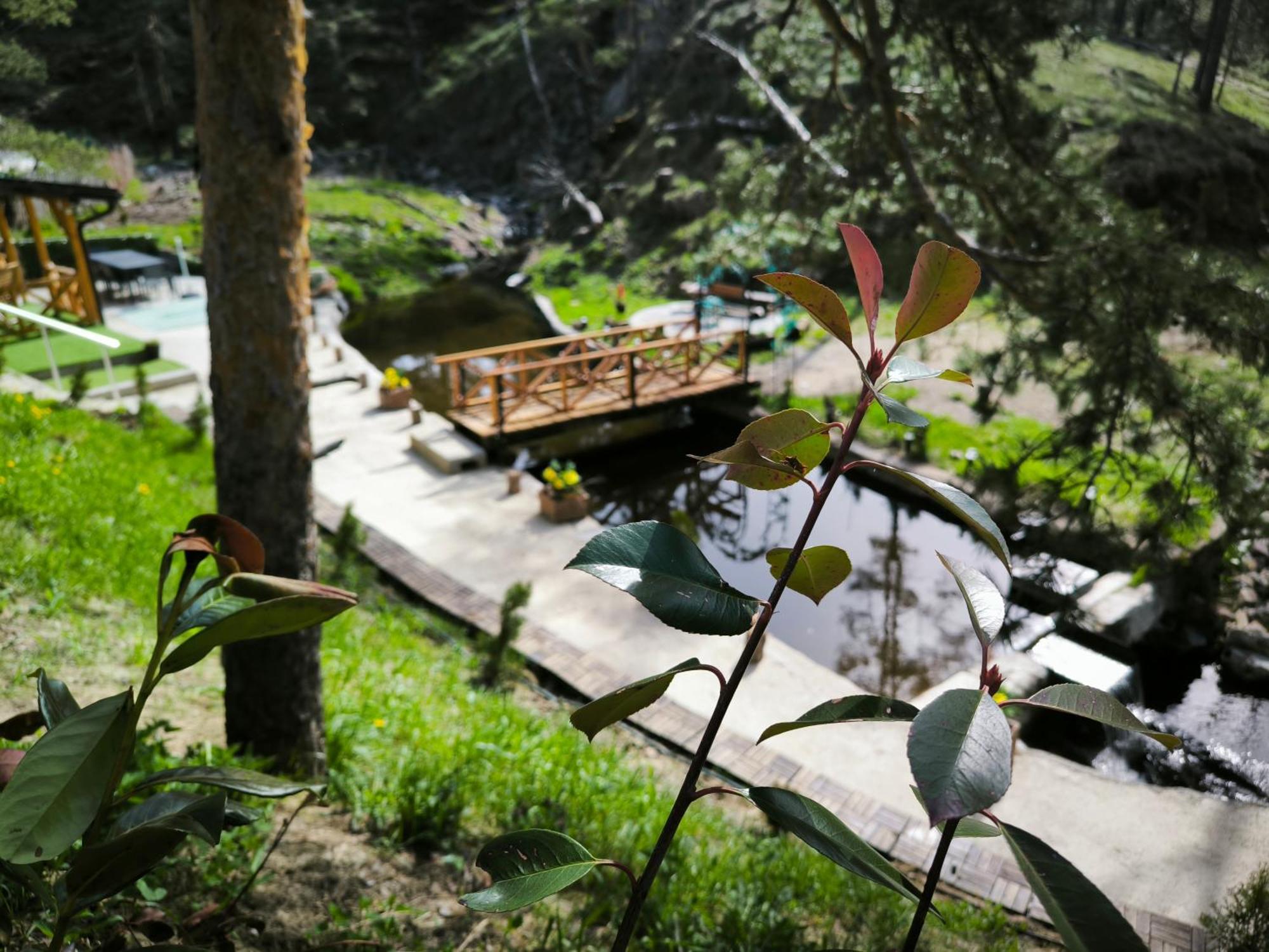 Vila Pogled Wellness I Spa Divcibare Bagian luar foto